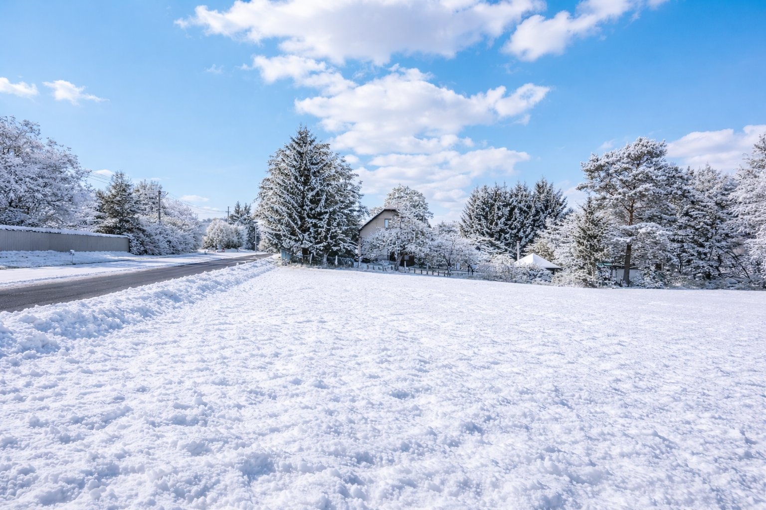 ChatGPT Image 8. 1. 2026 18_01_51