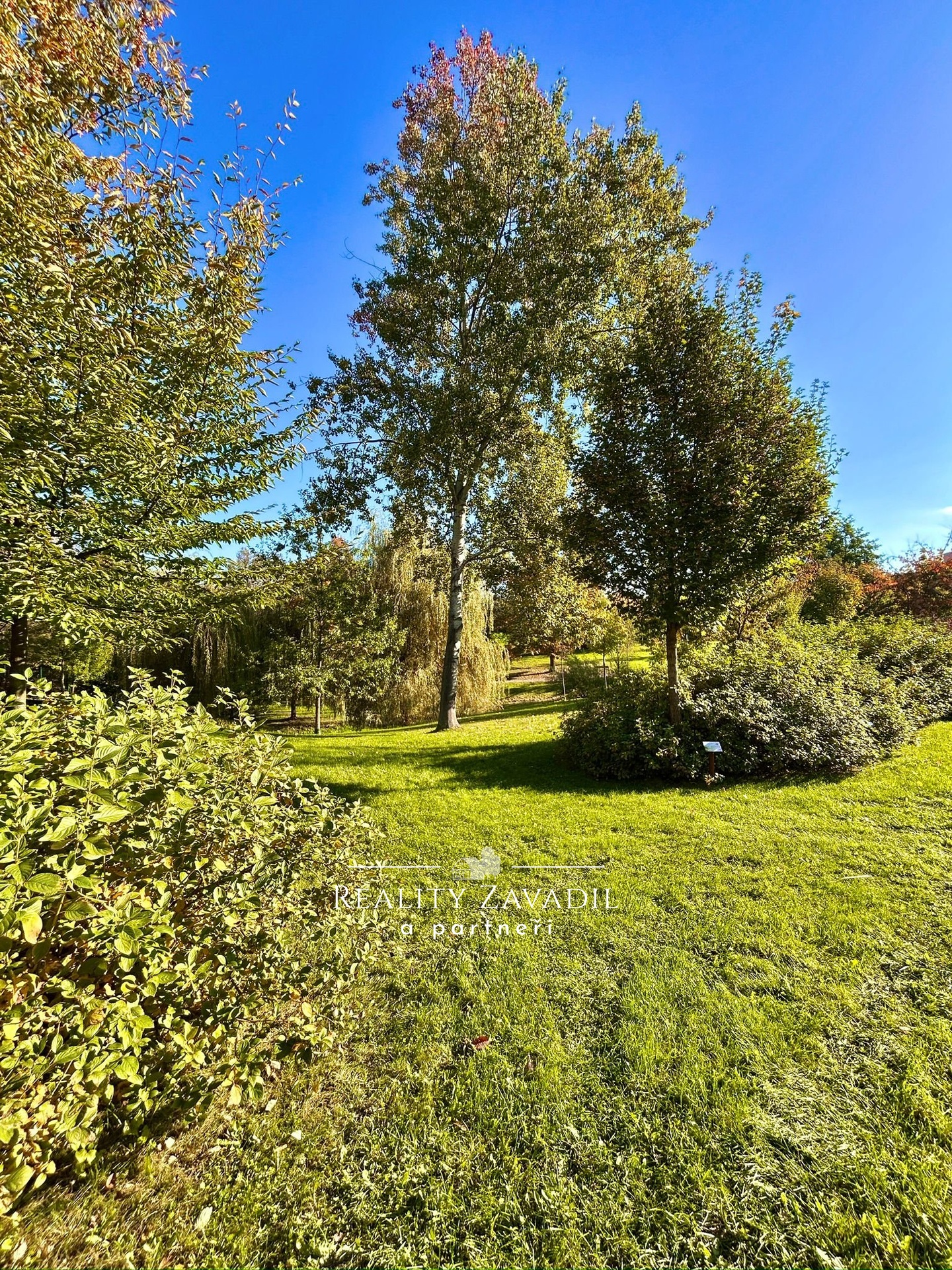 WhatsApp Image 2025-10-23 at 08.35.03 (5)