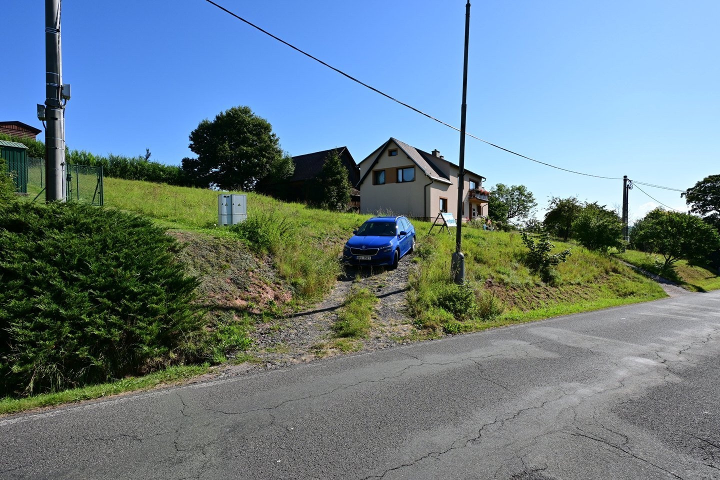 DSC_1003