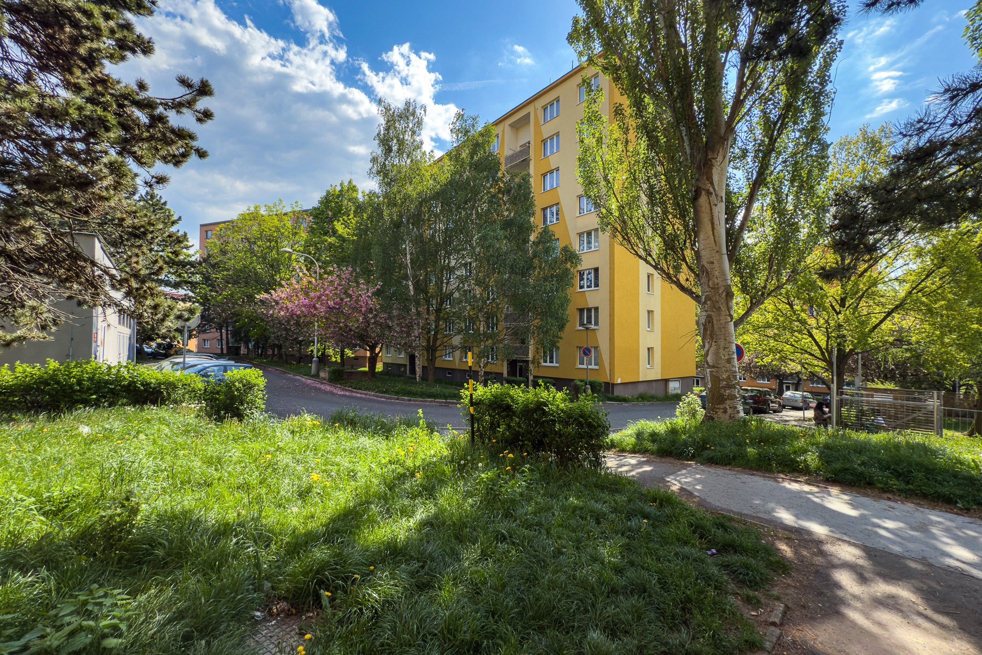 Foto31
