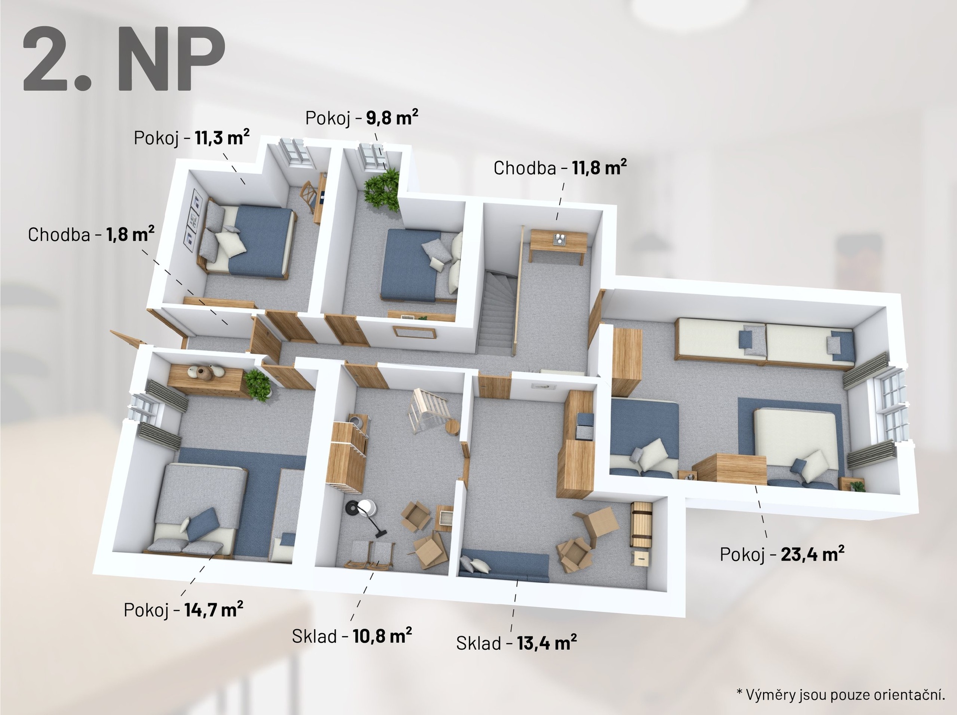 2NP_3D