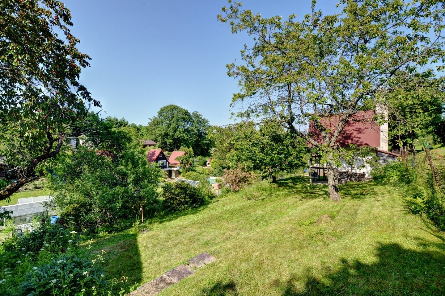 DSC_6482_3_5_6_8_fused