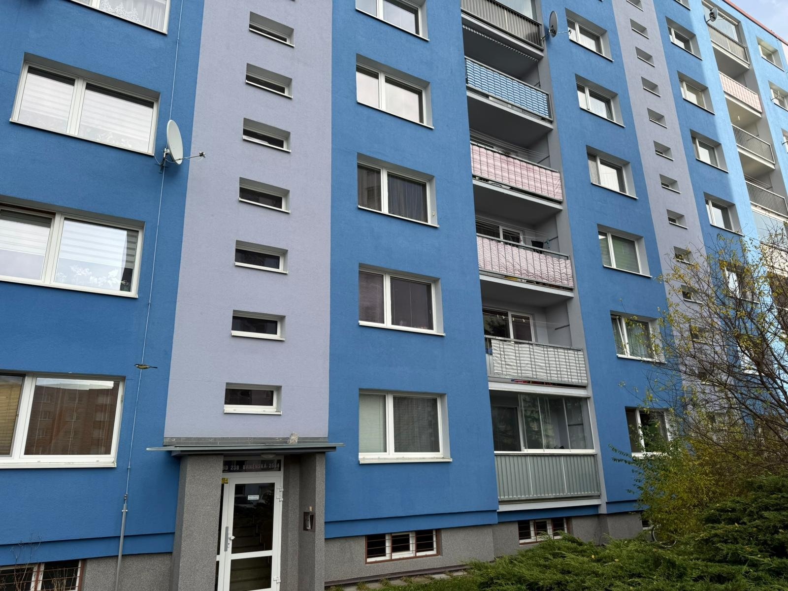 WhatsApp Image 2025-11-14 at 13.44.17 (2)