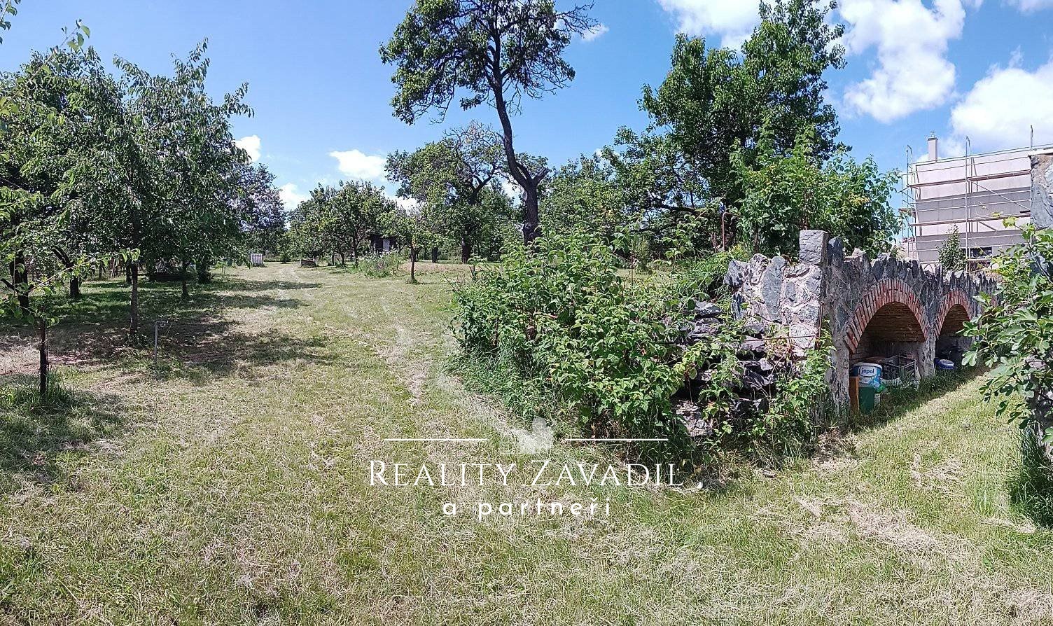 449530540_8180321425340220_4379552458006033175_n