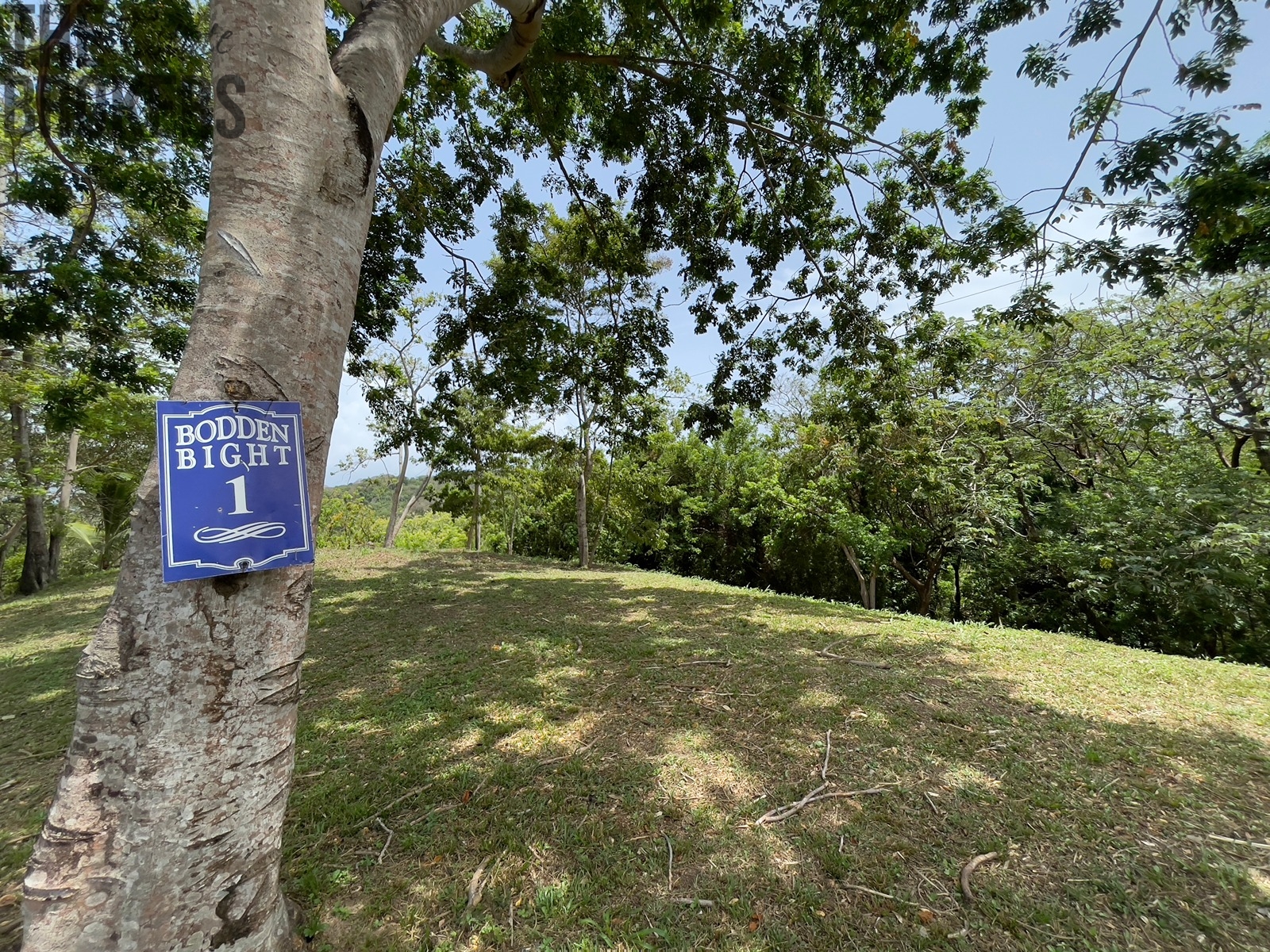 Lot 1 Bodden Bight Estate, Roatan