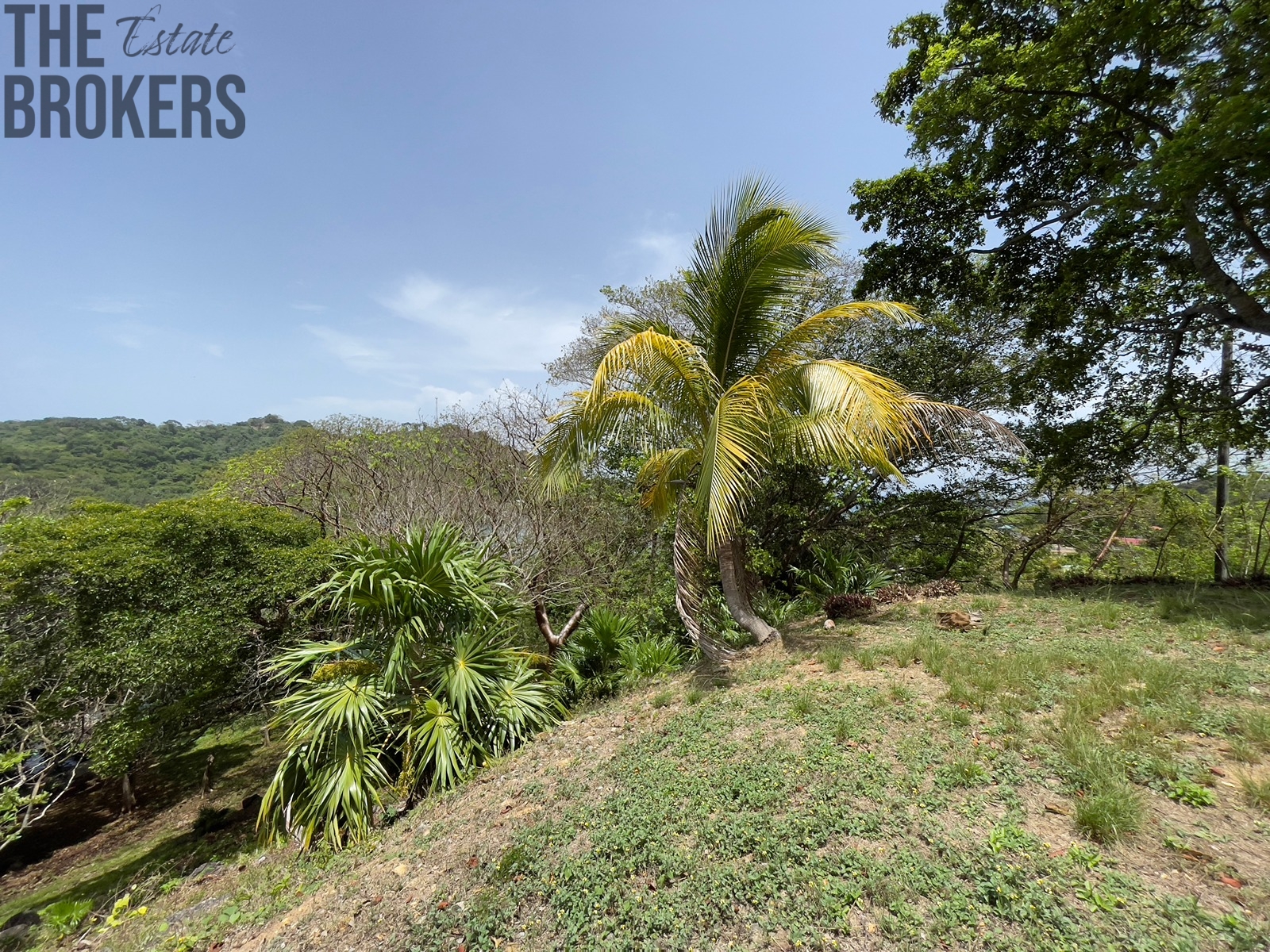 LOT 8 Bodden Bight Estate, Roatan