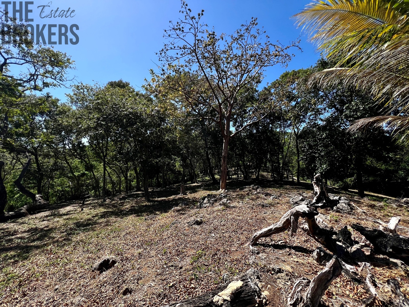 Bodden Bight Estate Jonesville