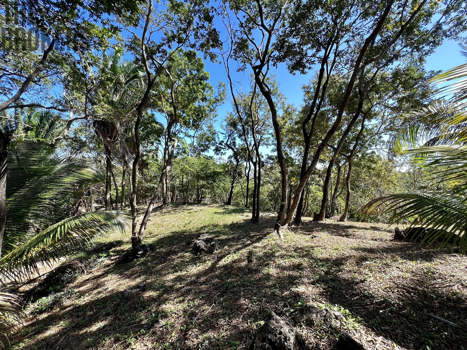 Lot 1 Bodden Bight Estate, Roatan