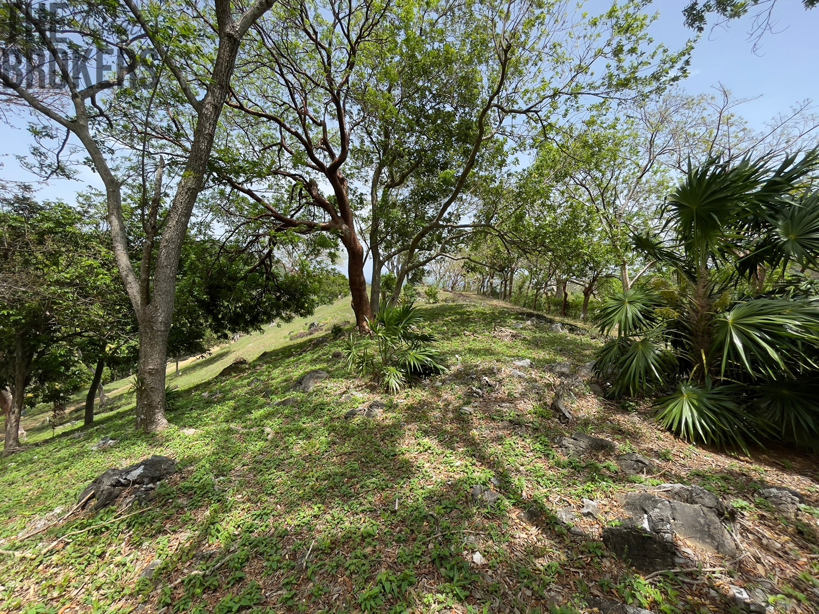 LOT 5 Bodden Bight Estate, Roatan
