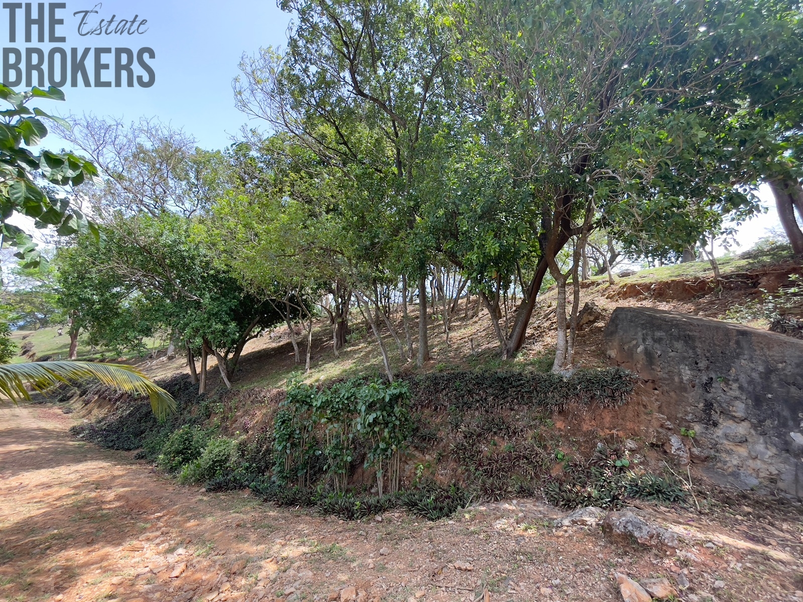 LOT 6 Bodden Bight Estate, Roatan