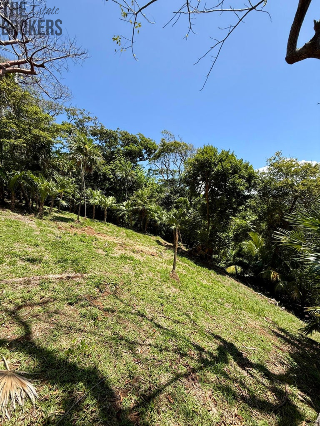 Atocha Lot 1&2 First Bight, Roatan