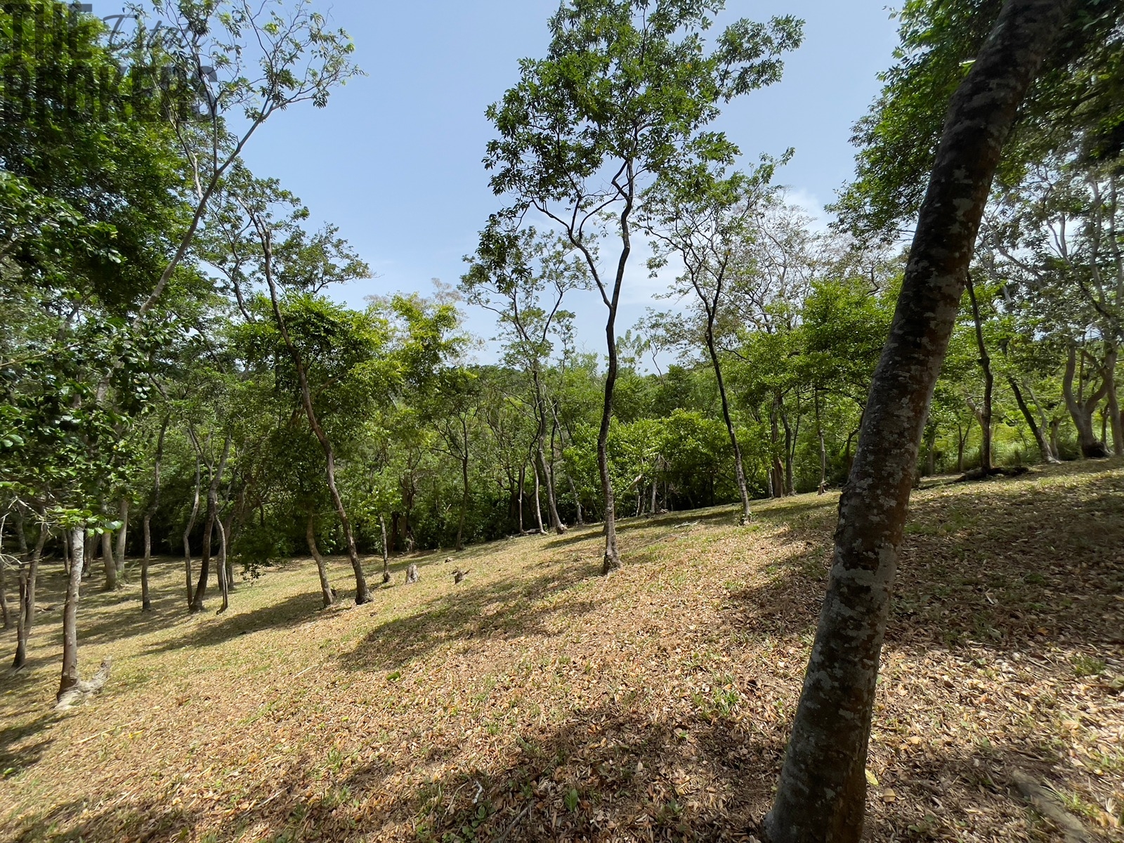 Lot 1 Bodden Bight Estate, Roatan