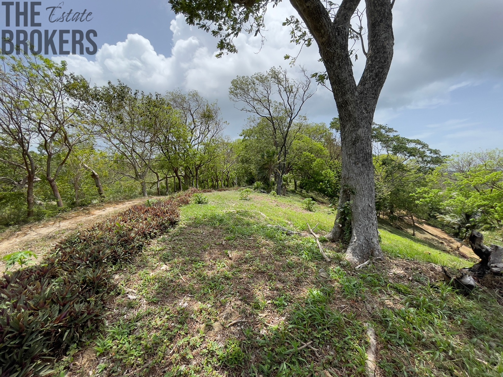 LOT 6 Bodden Bight Estate, Roatan