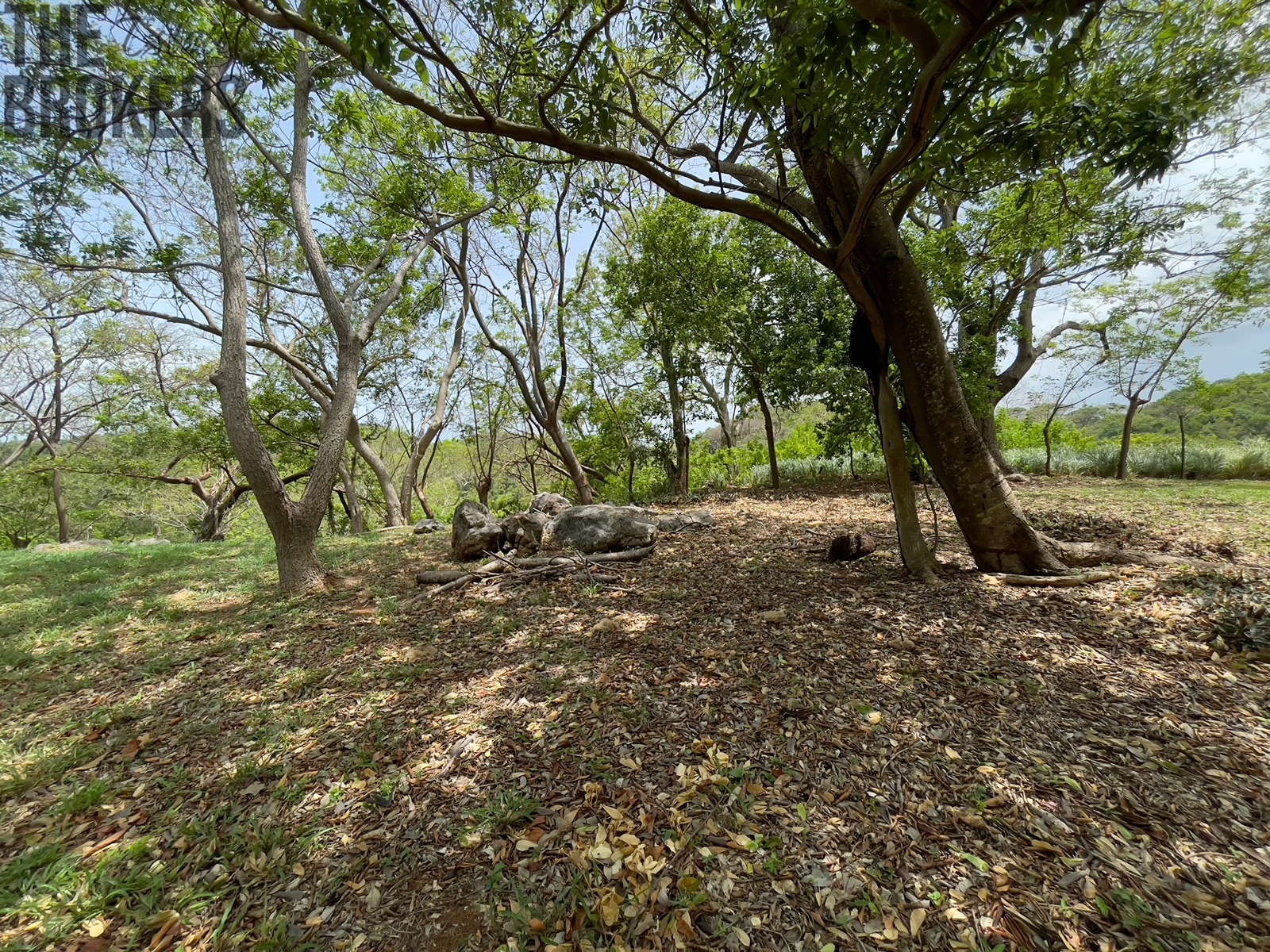 LOT 5 Bodden Bight Estate, Roatan