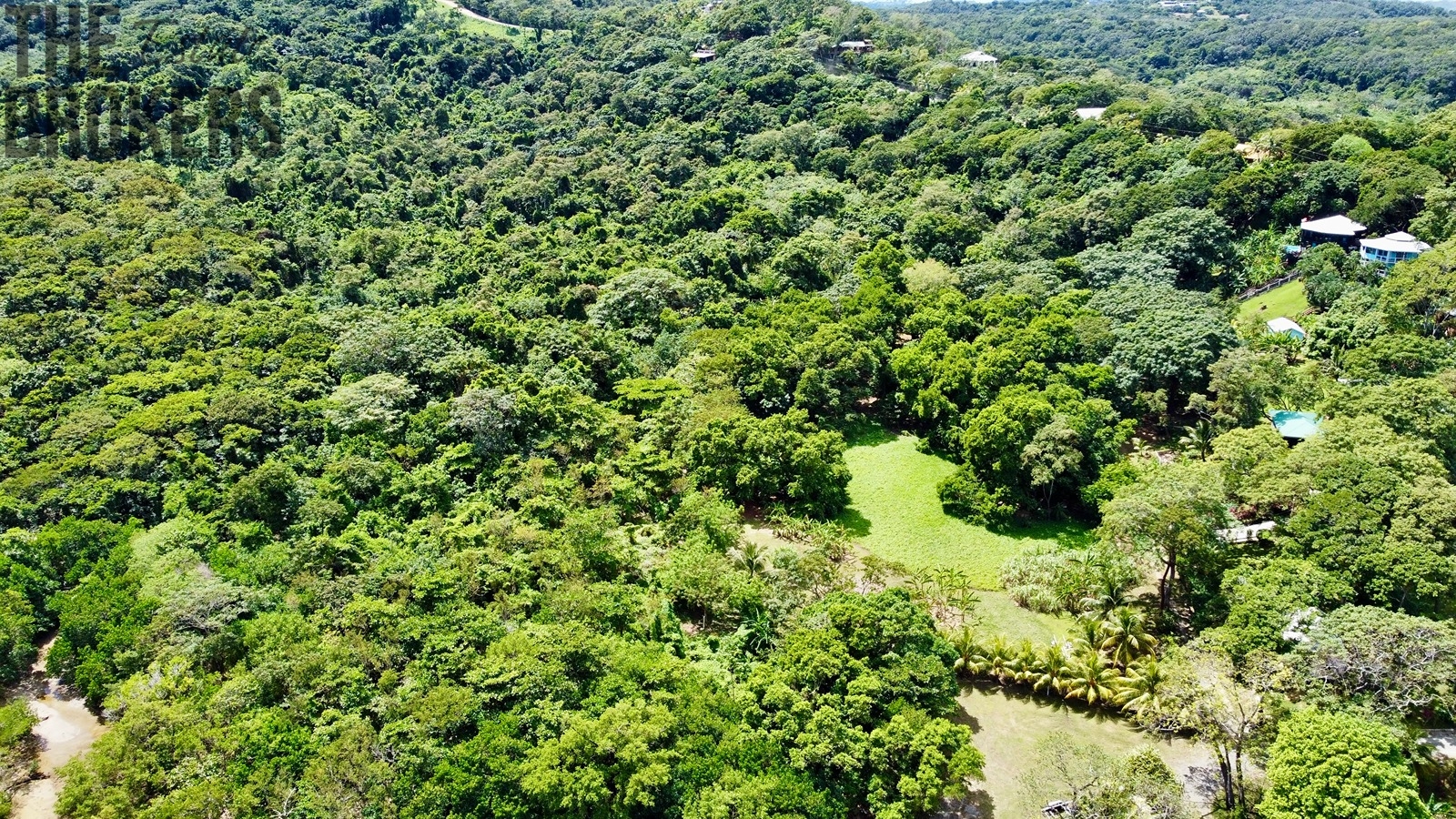 Punta Blanca, Roatan