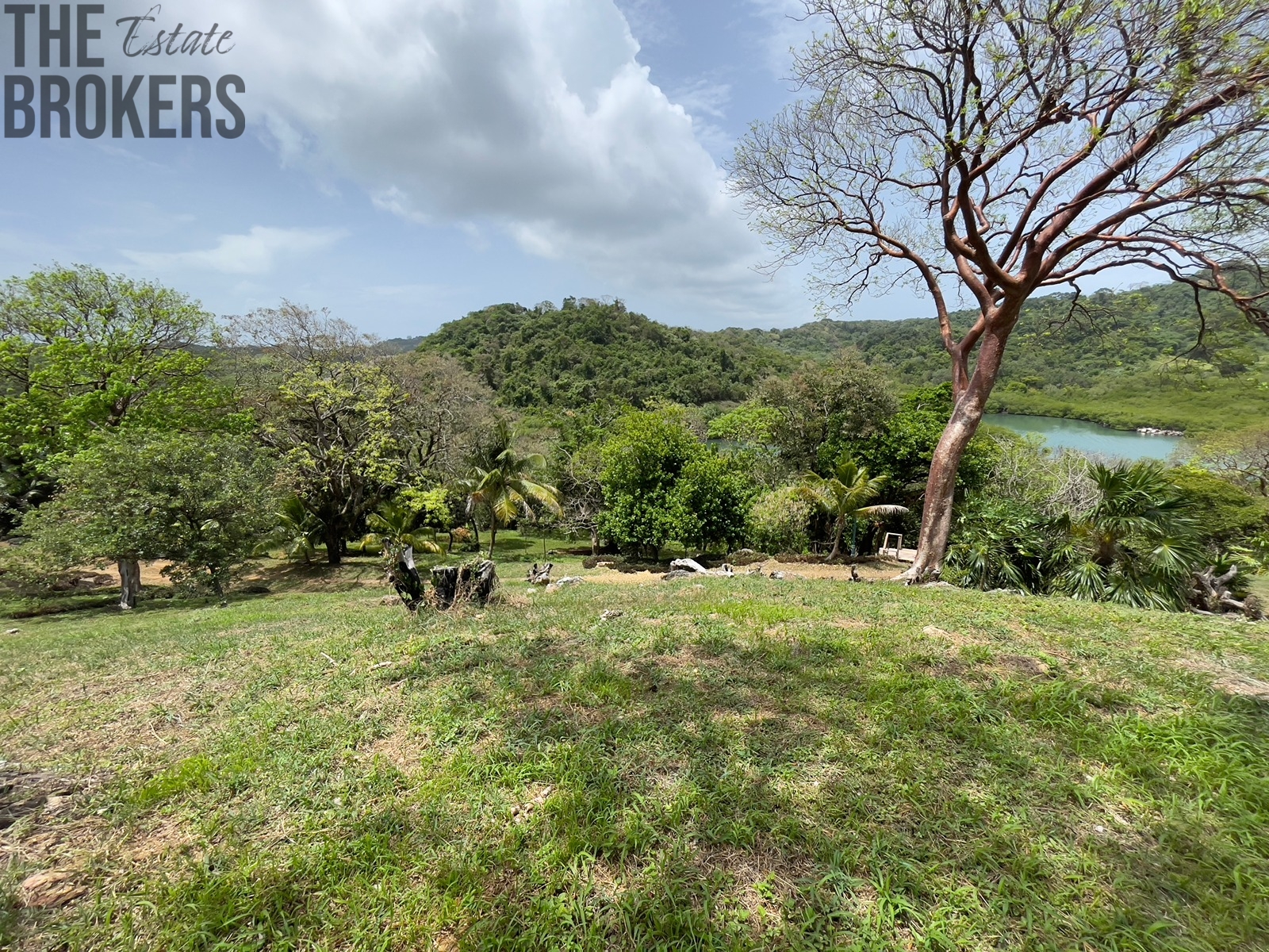 LOT 6 Bodden Bight Estate, Roatan