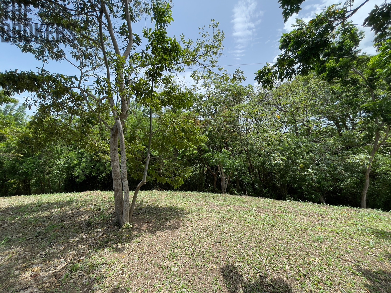 Lot 1 Bodden Bight Estate, Roatan