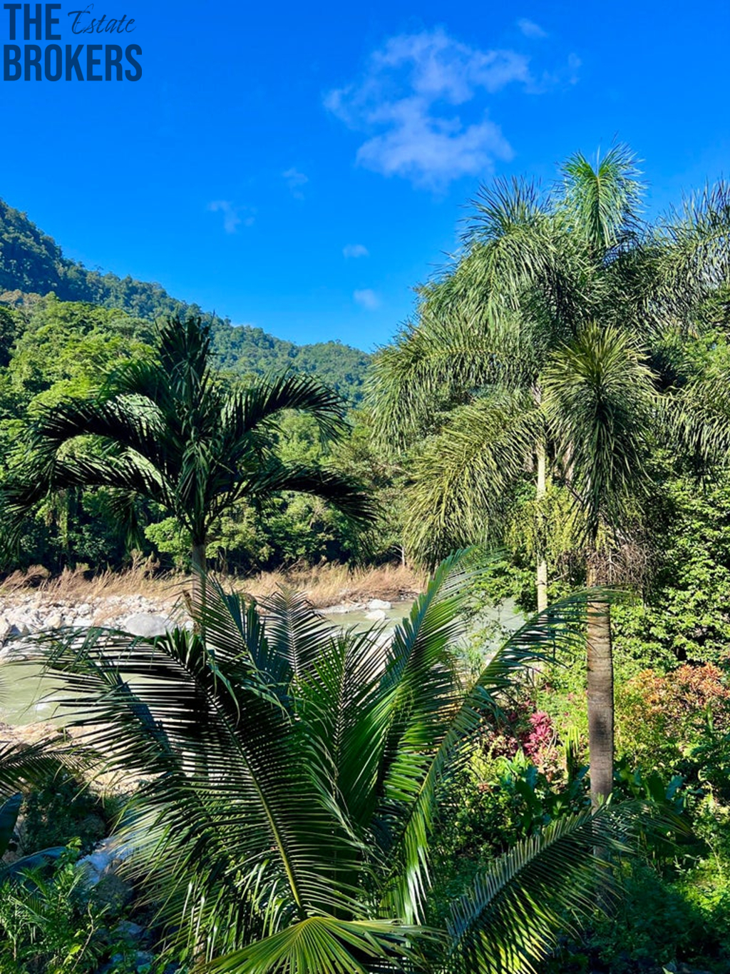 Villas at Pico Bonito