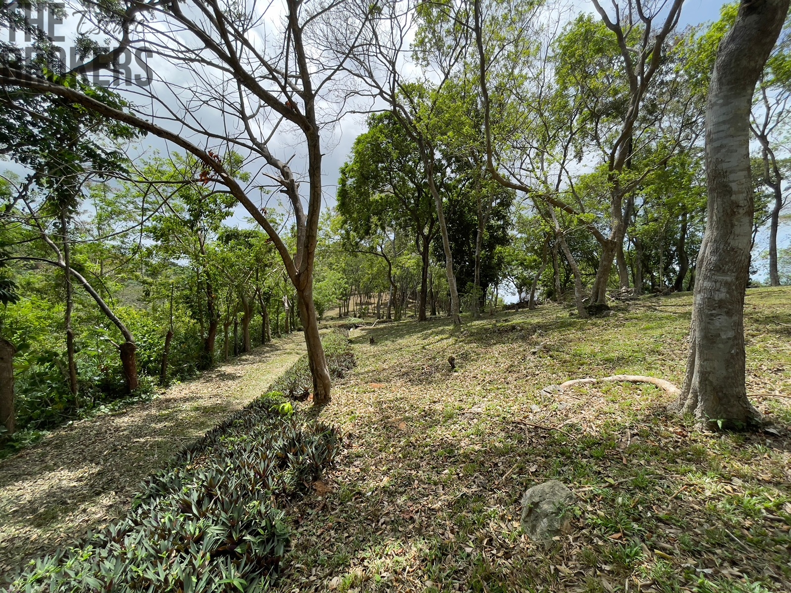 Bodden Bight Estate Jonesville