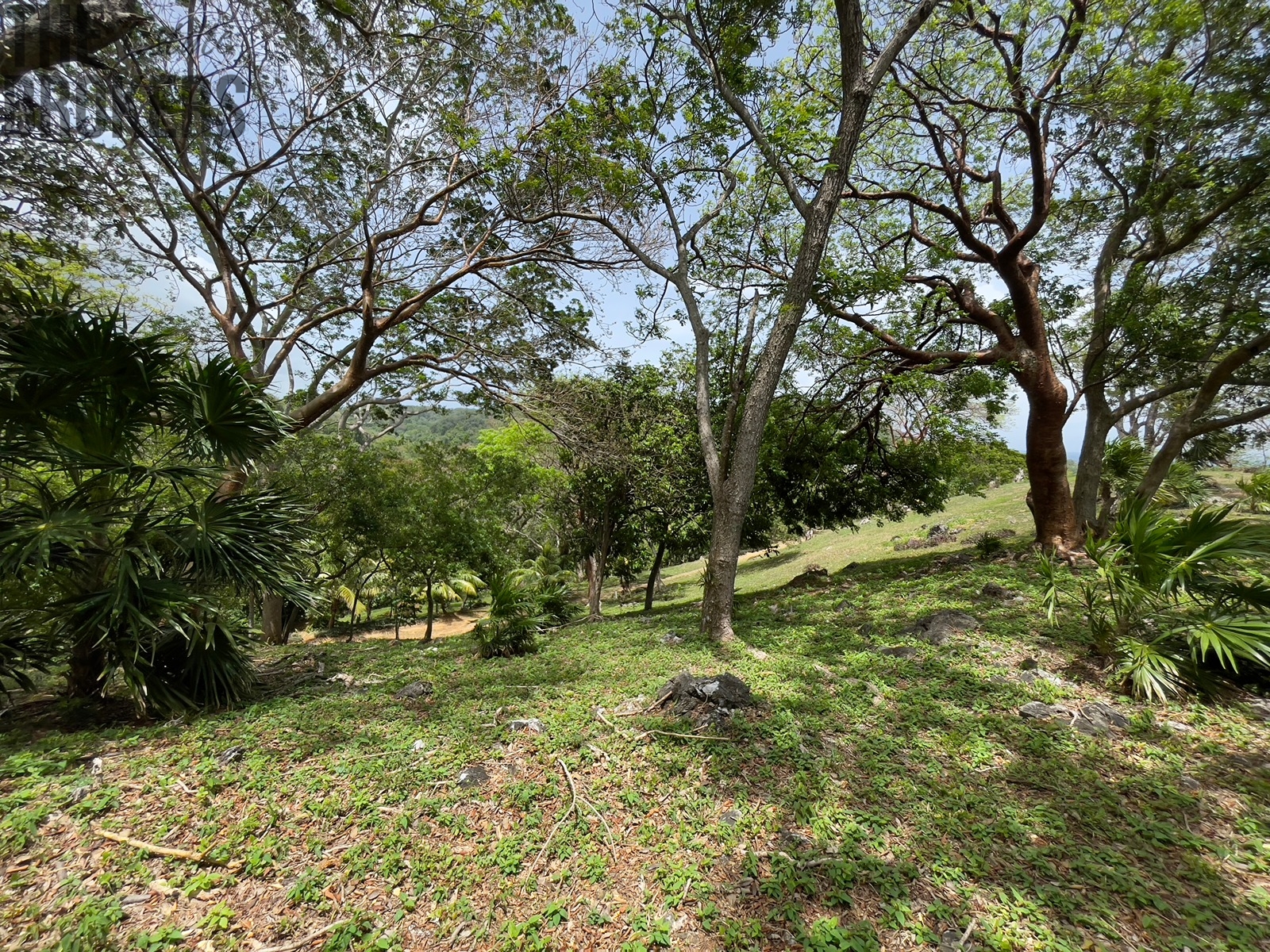 LOT 5 Bodden Bight Estate, Roatan