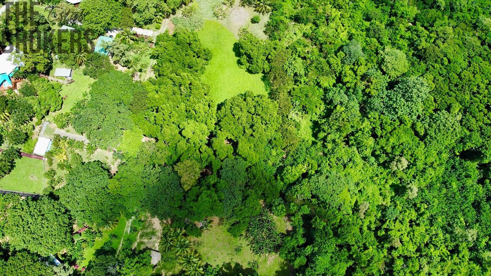 Punta Blanca, Roatan