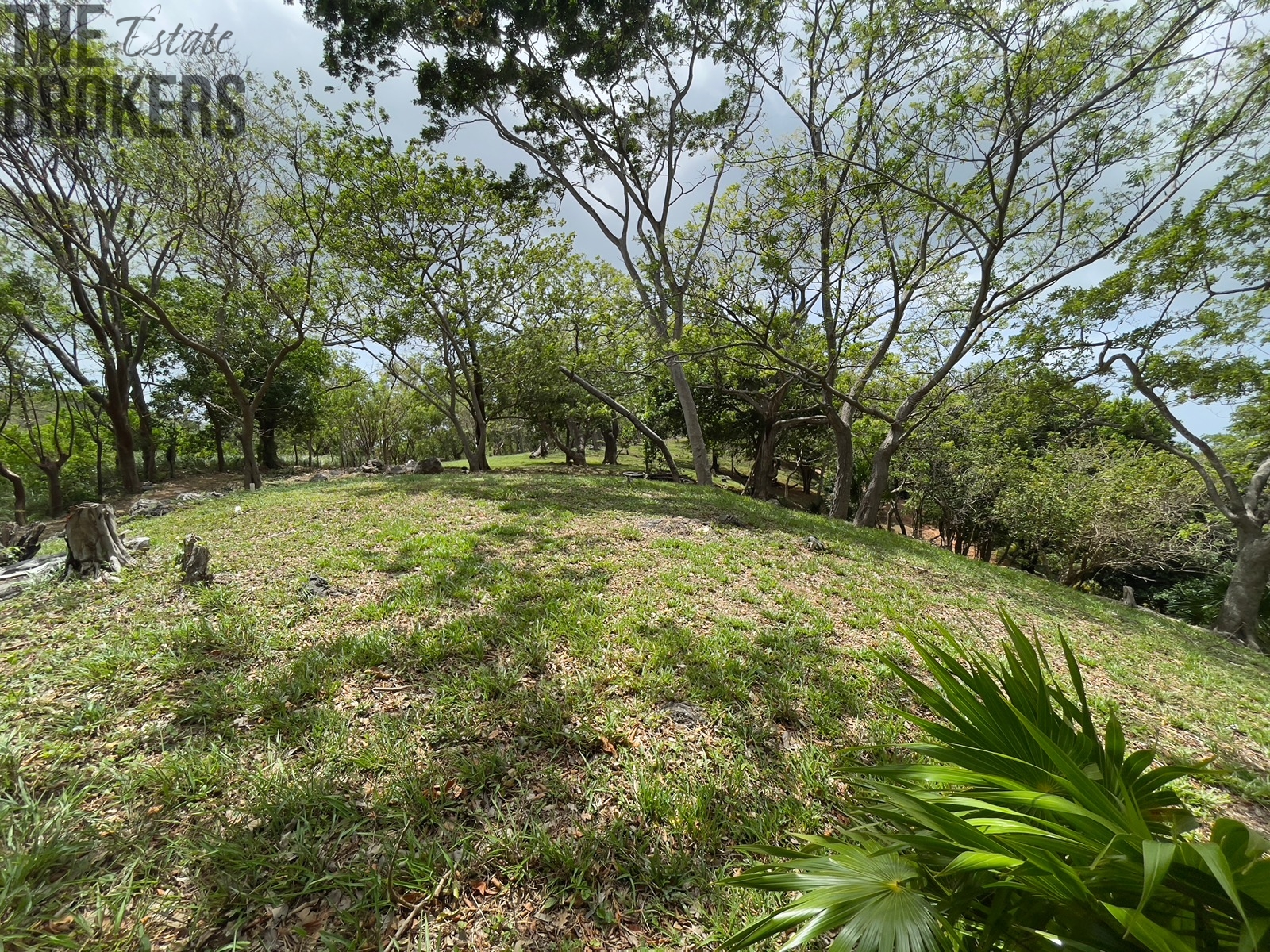 LOT 5 Bodden Bight Estate, Roatan