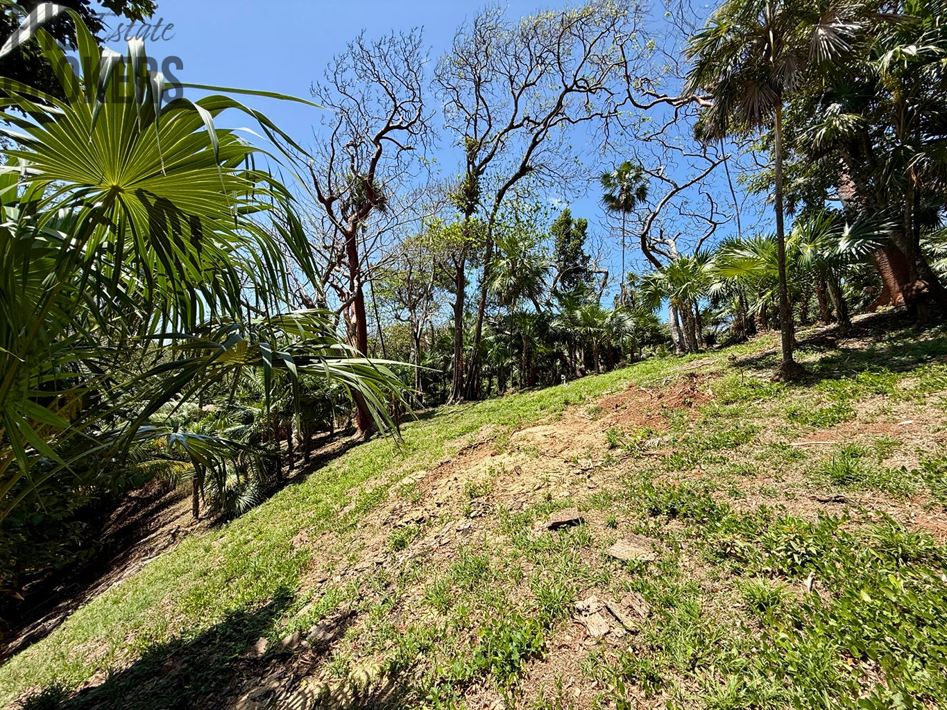 Atocha Lot 1&2 First Bight, Roatan