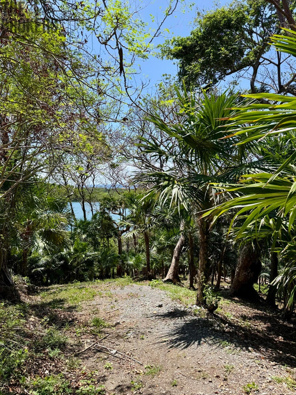 Atocha Lot 1&2 First Bight, Roatan