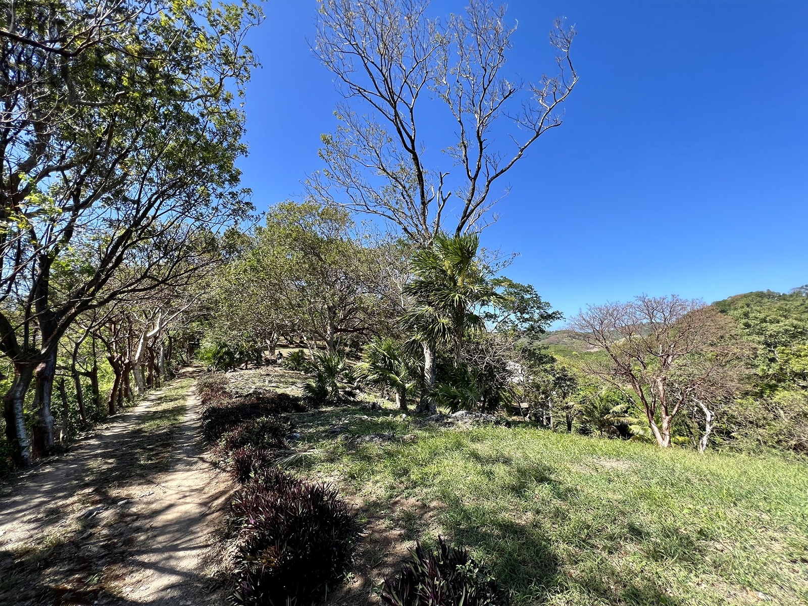 LOT 6 Bodden Bight Estate, Roatan