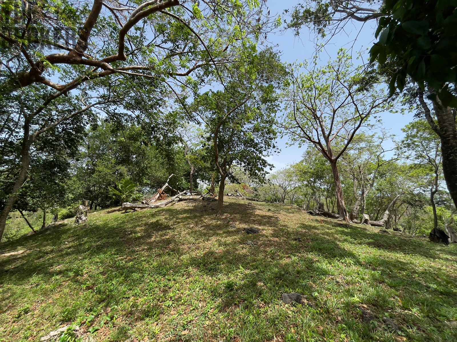 Bodden Bight Estate Jonesville