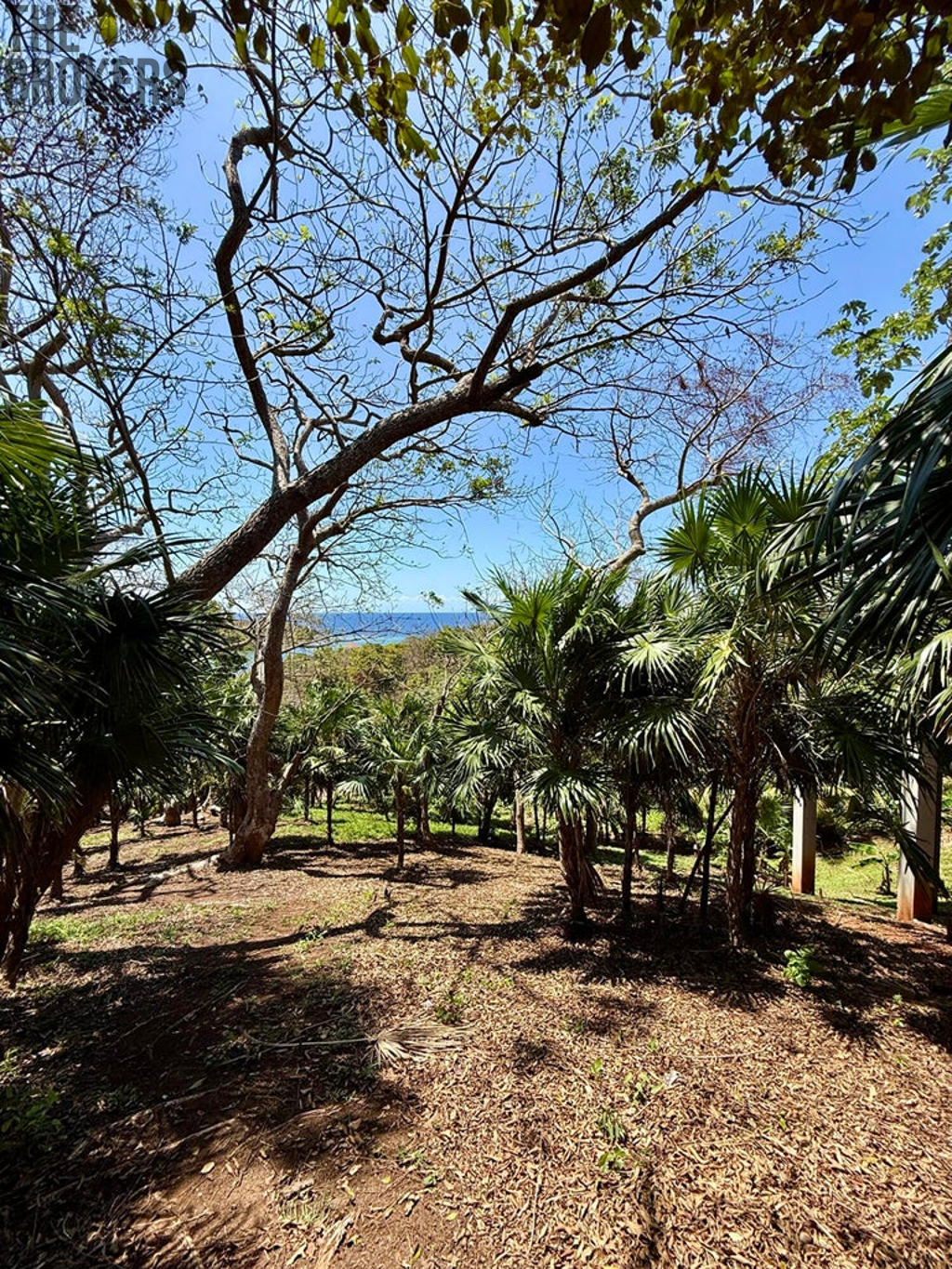 Atocha Lot 1&2 First Bight, Roatan