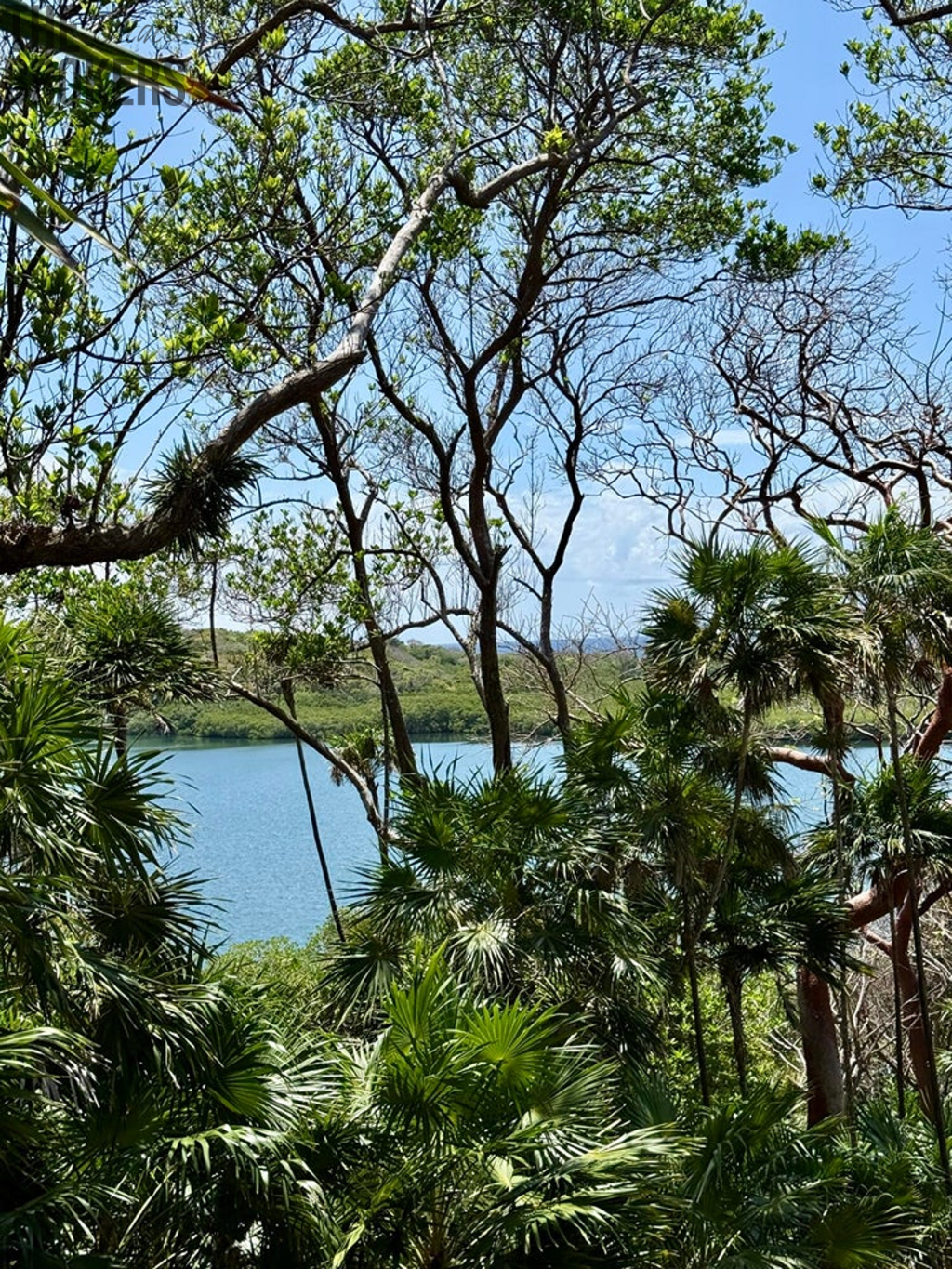 Atocha Lot 1&2 First Bight, Roatan