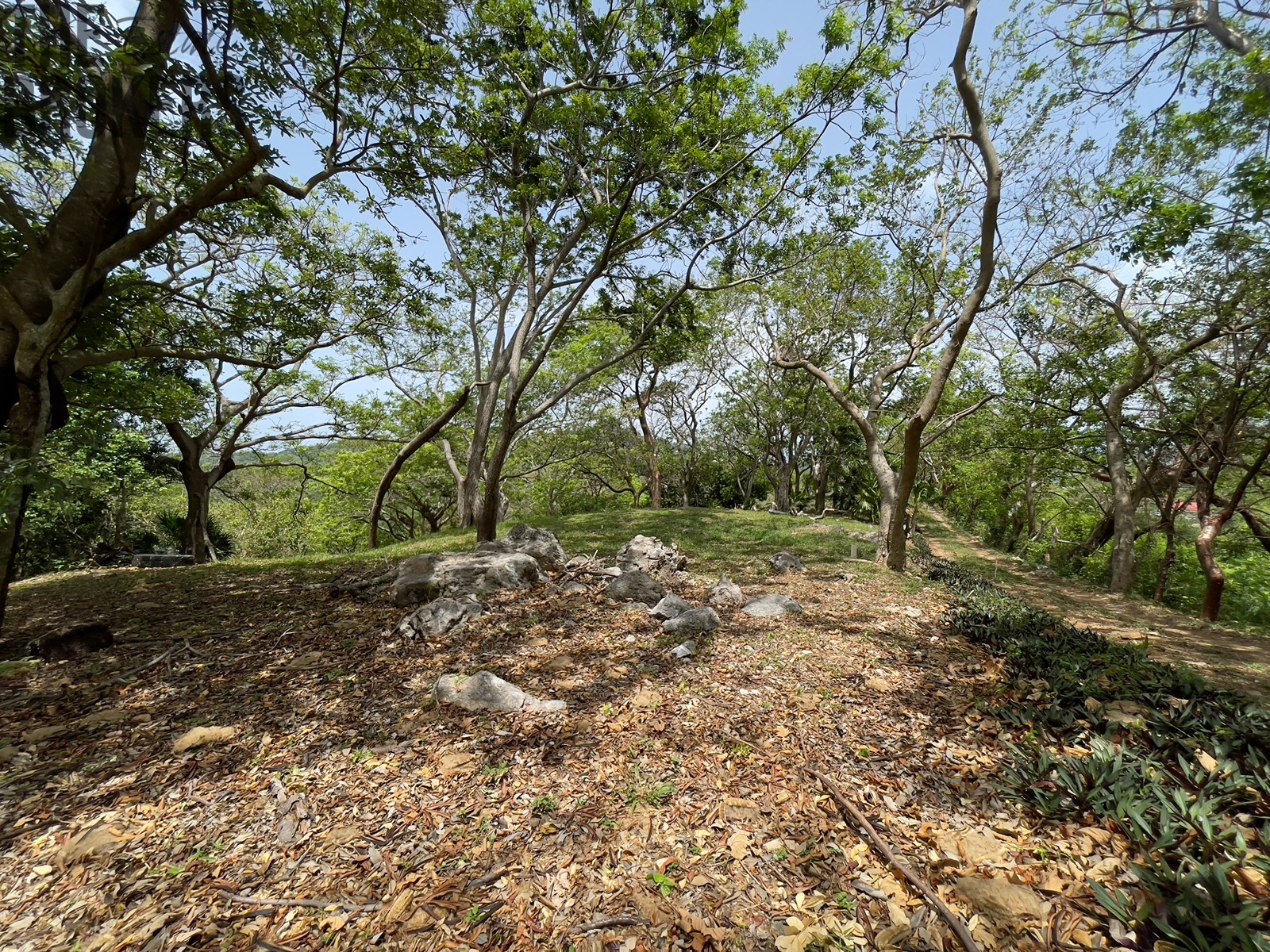 LOT 5 Bodden Bight Estate, Roatan