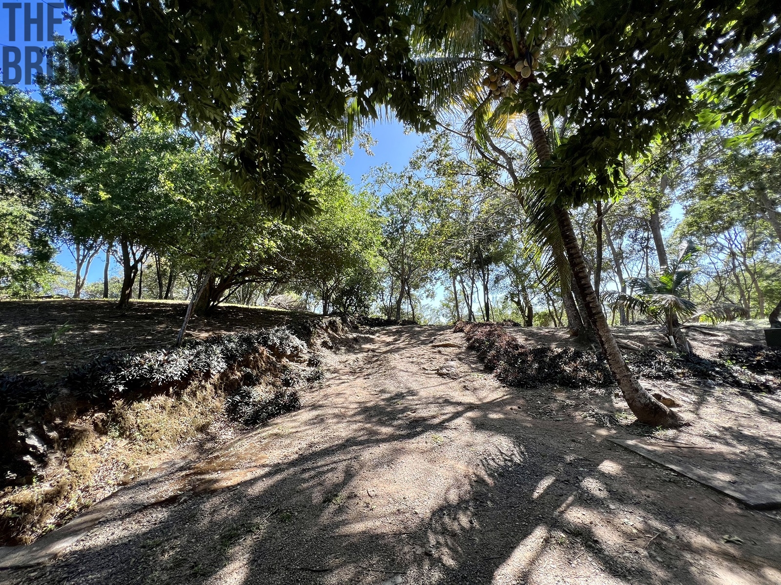 Bodden Bight Estate Jonesville