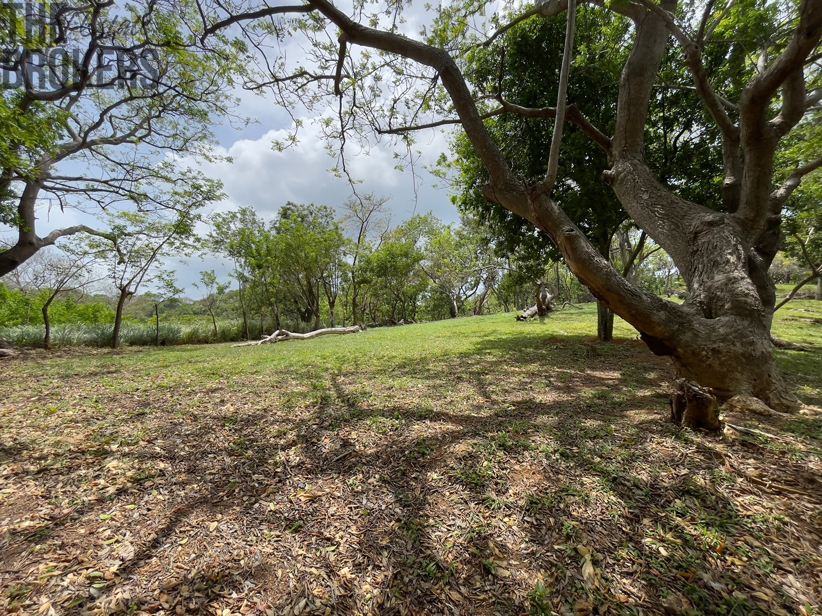 LOT 5 Bodden Bight Estate, Roatan