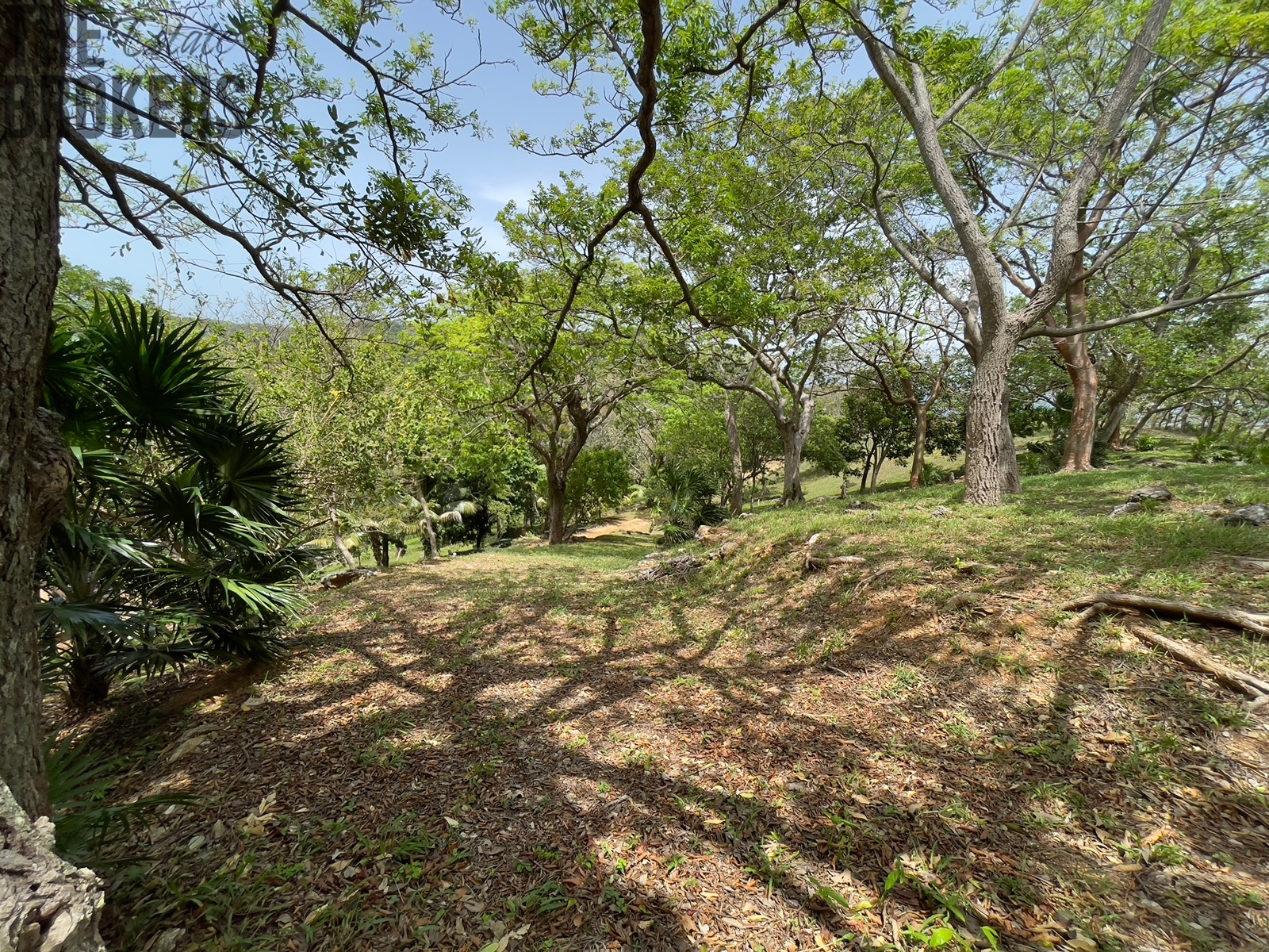 LOT 5 Bodden Bight Estate, Roatan