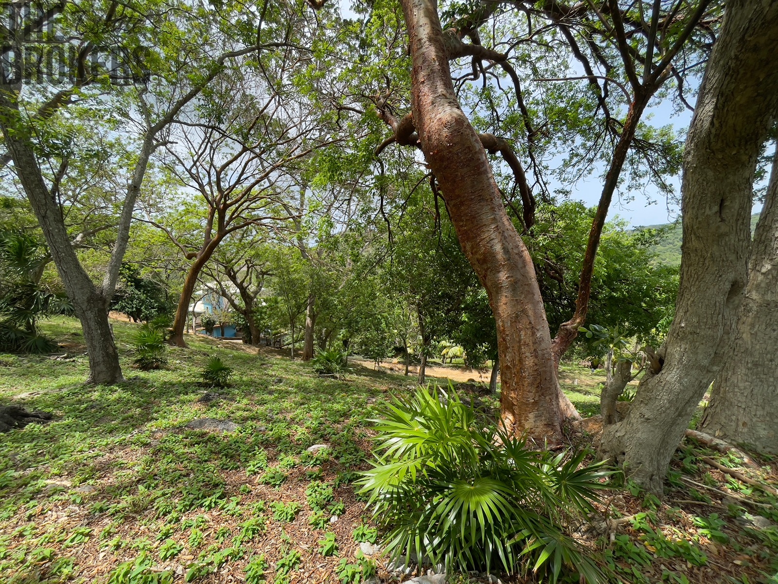 LOT 5 Bodden Bight Estate, Roatan