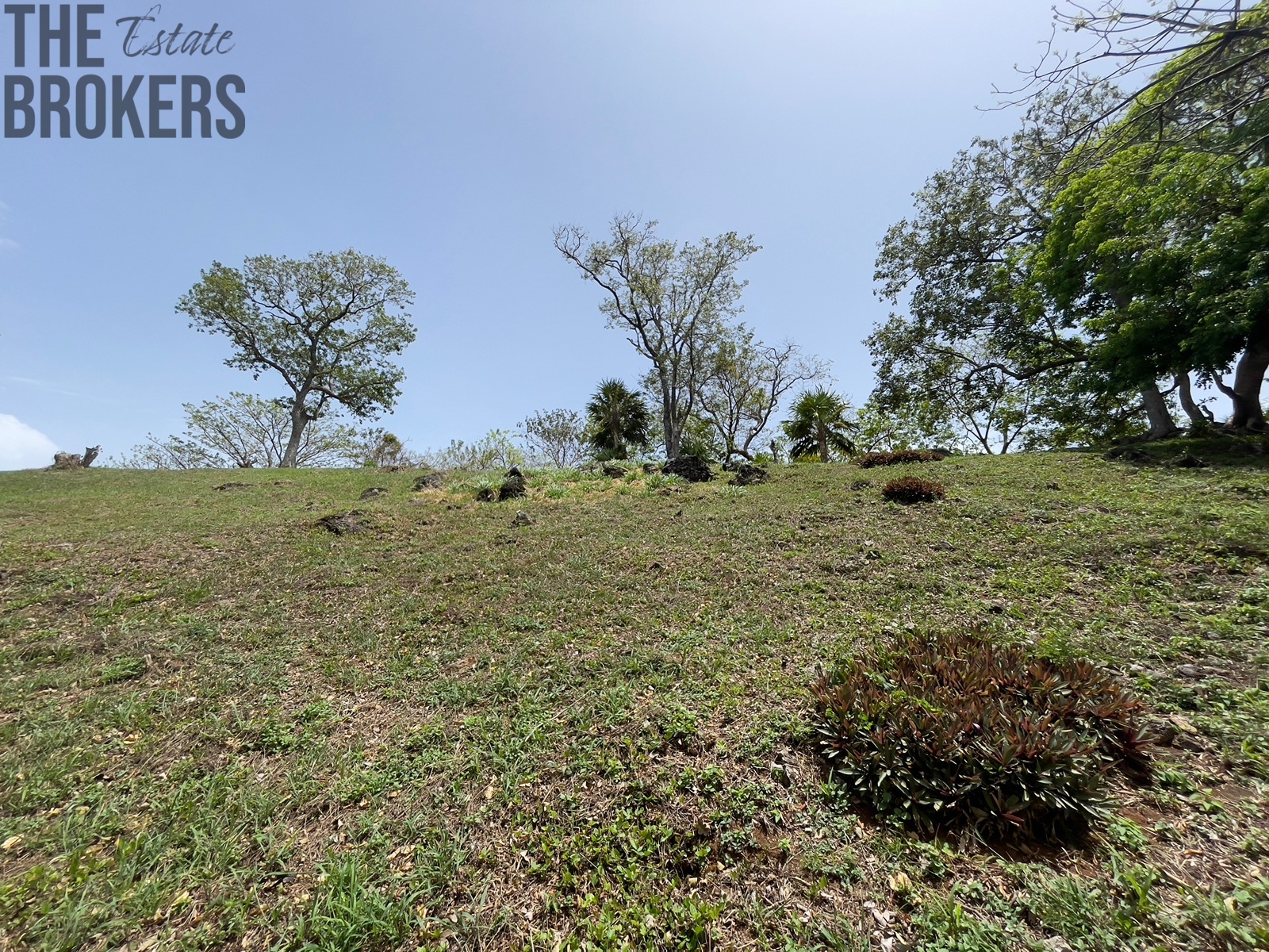 LOT 6 Bodden Bight Estate, Roatan