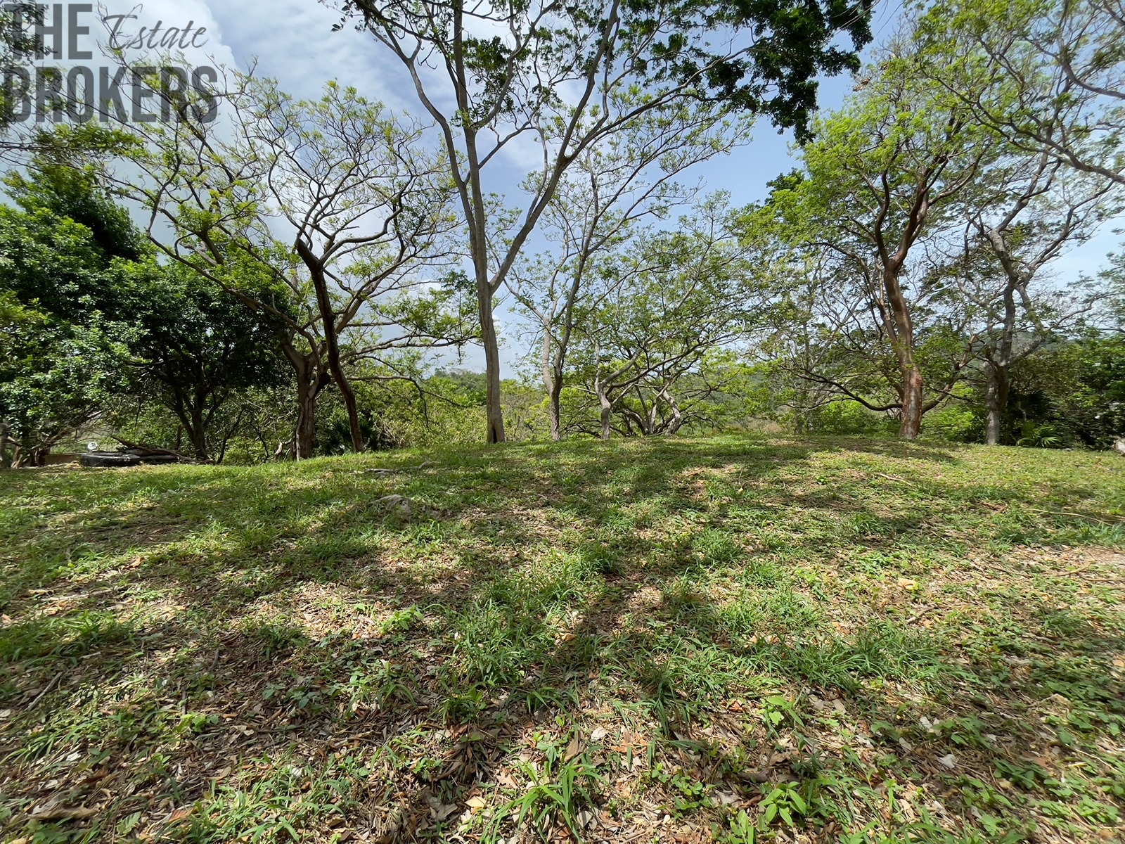 LOT 5 Bodden Bight Estate, Roatan