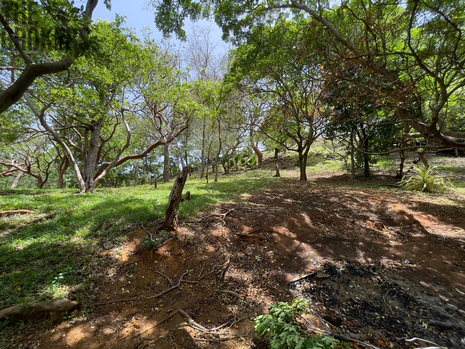 LOT 8 Bodden Bight Estate, Roatan