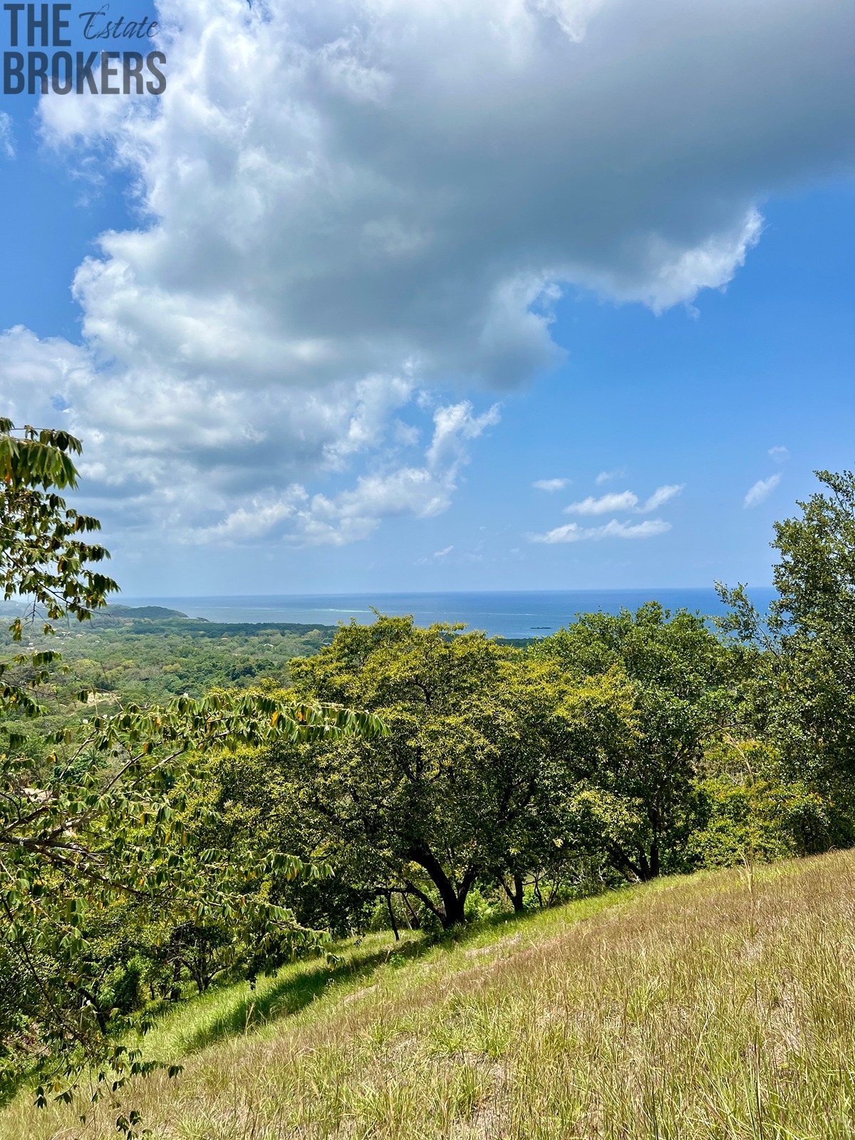 Sunny Hill#20 Diamond Hill Resort, Roatan