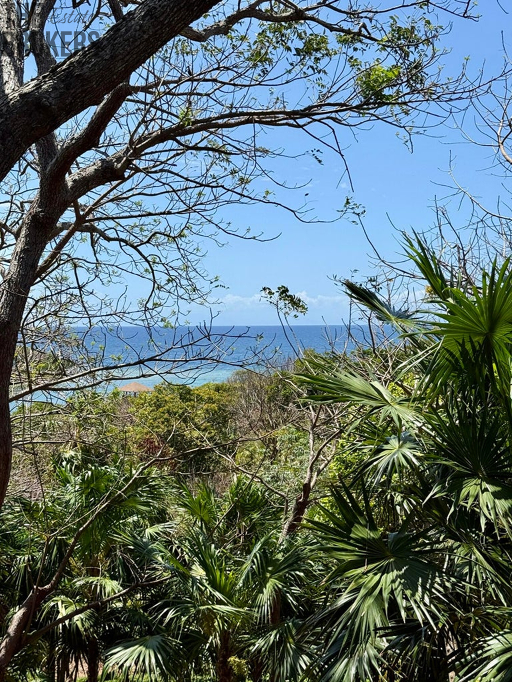 Atocha Lot 1&2 First Bight, Roatan