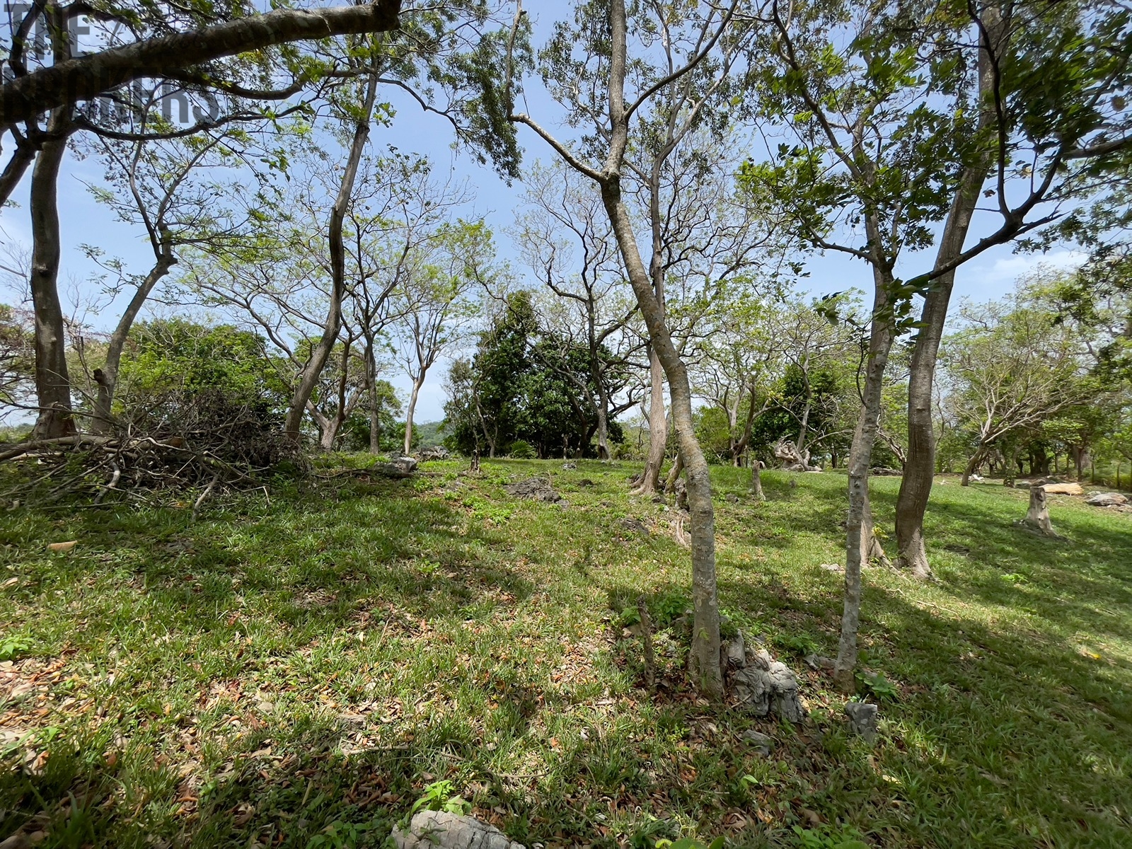 Bodden Bight Estate Jonesville
