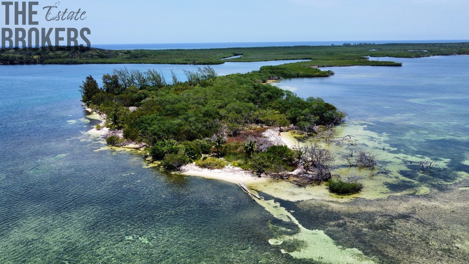 Bailey's Caye