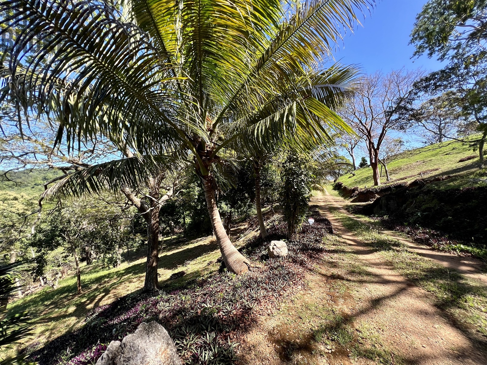 LOT 10 Bodden Bight Estate, Roatan