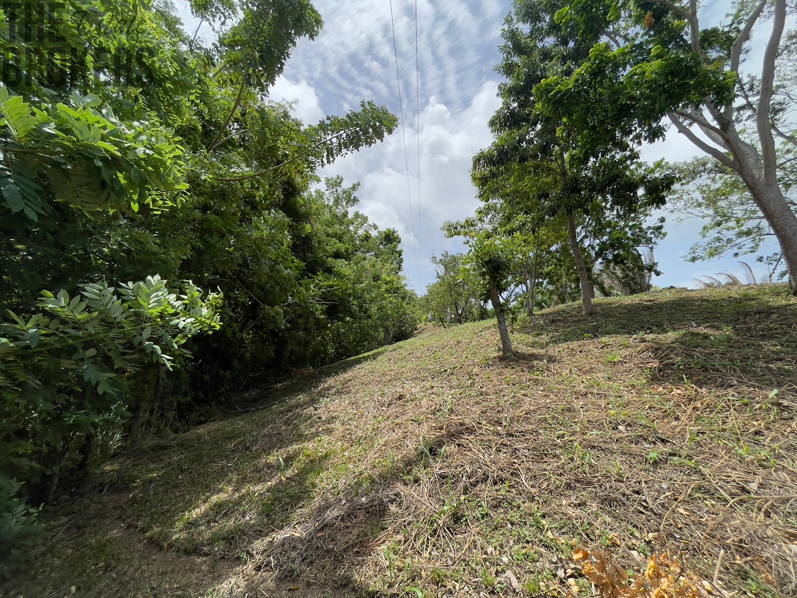 Lot 1 Bodden Bight Estate, Roatan