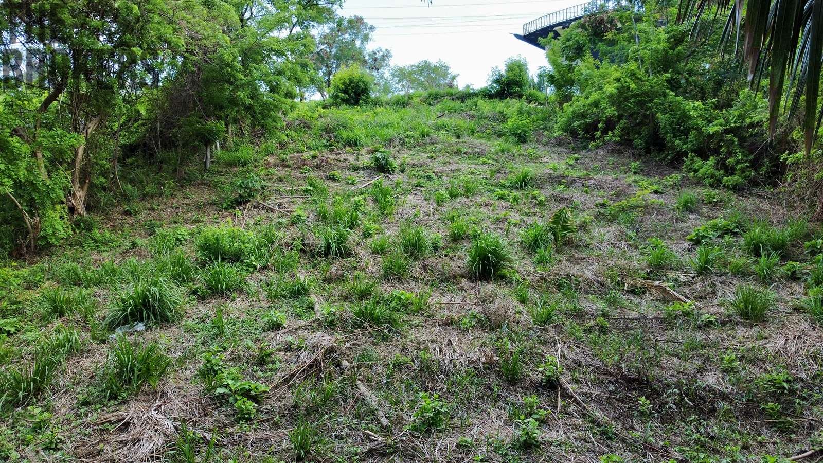 Isery Main Road