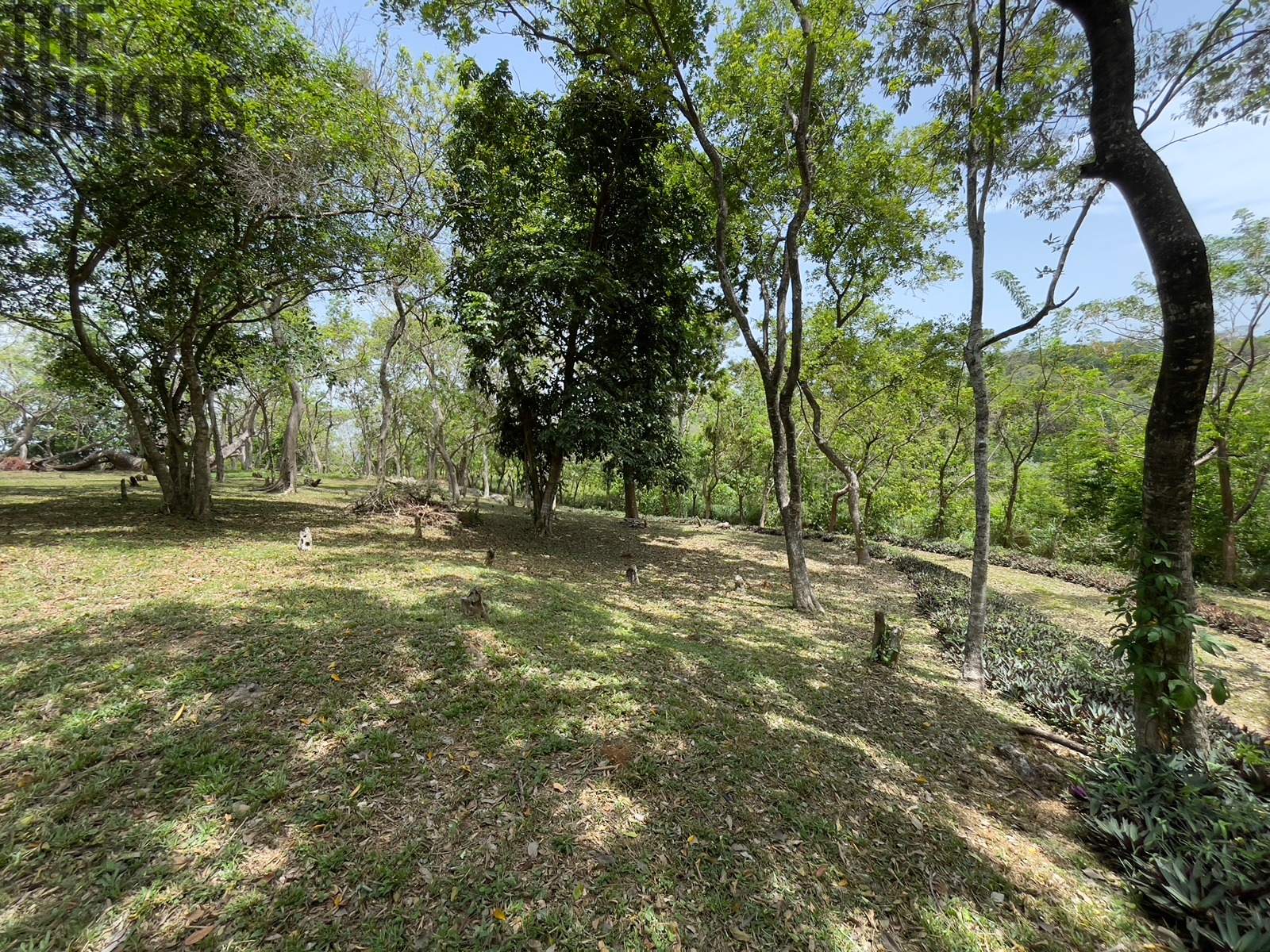 Bodden Bight Estate Jonesville