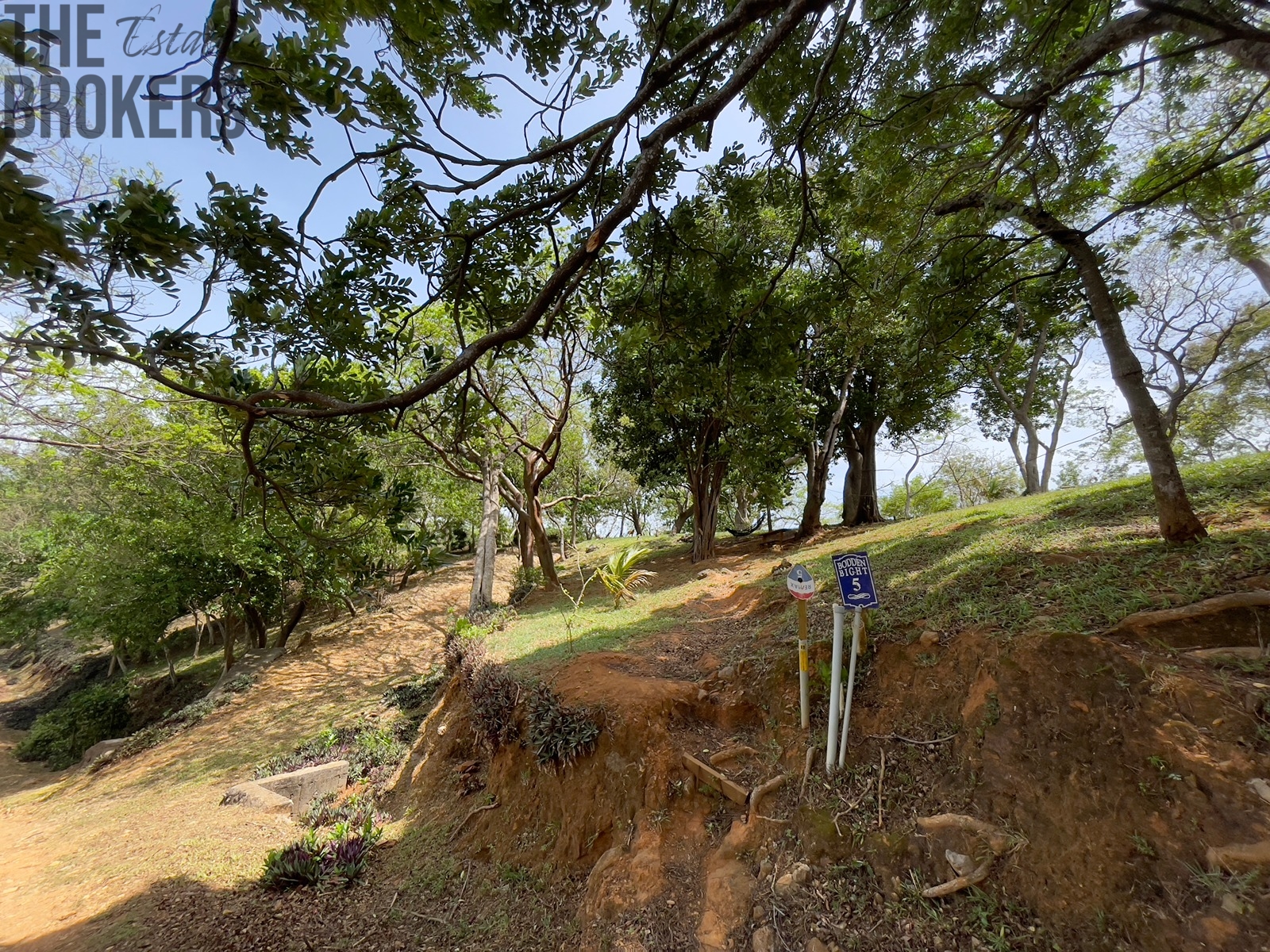 LOT 5 Bodden Bight Estate, Roatan