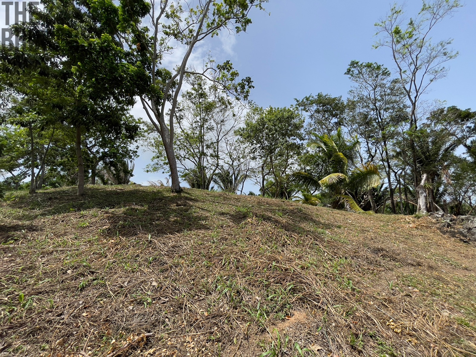 Lot 1 Bodden Bight Estate, Roatan